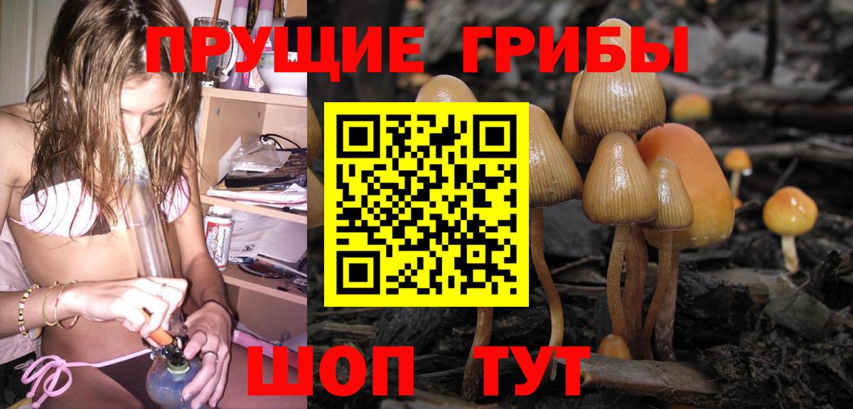 Псилоцибиновые грибы GOLDEN TEACHER  Галлюциногенные грибы GOLDEN TEACHER  Анапа  Вход с VPN 